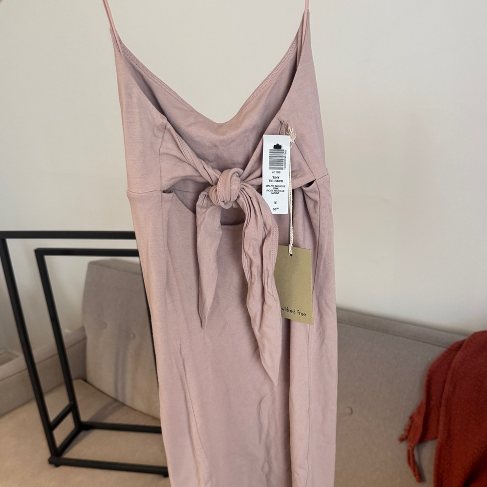 COPY - Aritzia Wilfred Free tini dress